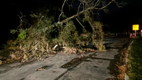 Parks, a report photo