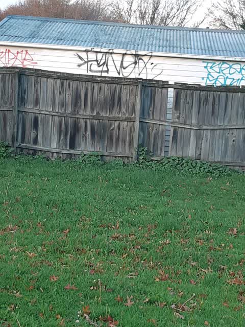 Graffiti, a report photo