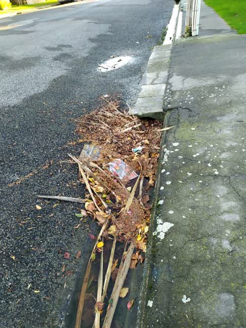 Rubbish/Recycling, a report photo