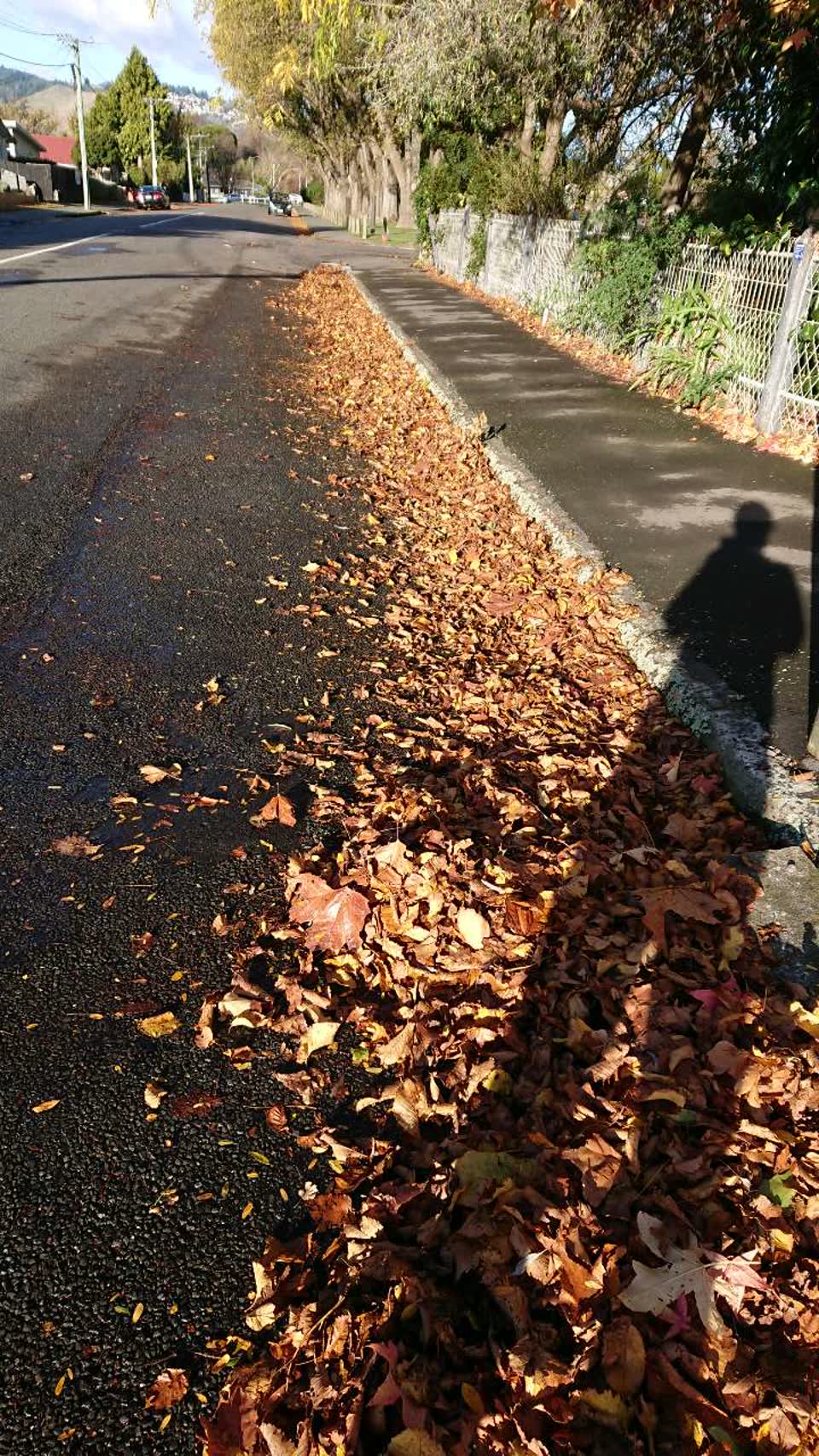 The photograph attached to this wastewater/stormwater report