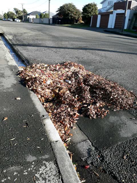 Roading/Streets, a report photo