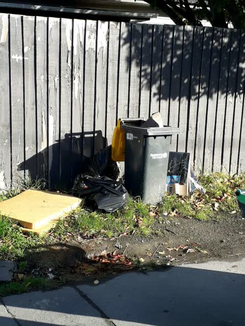 Rubbish/Recycling, a report photo