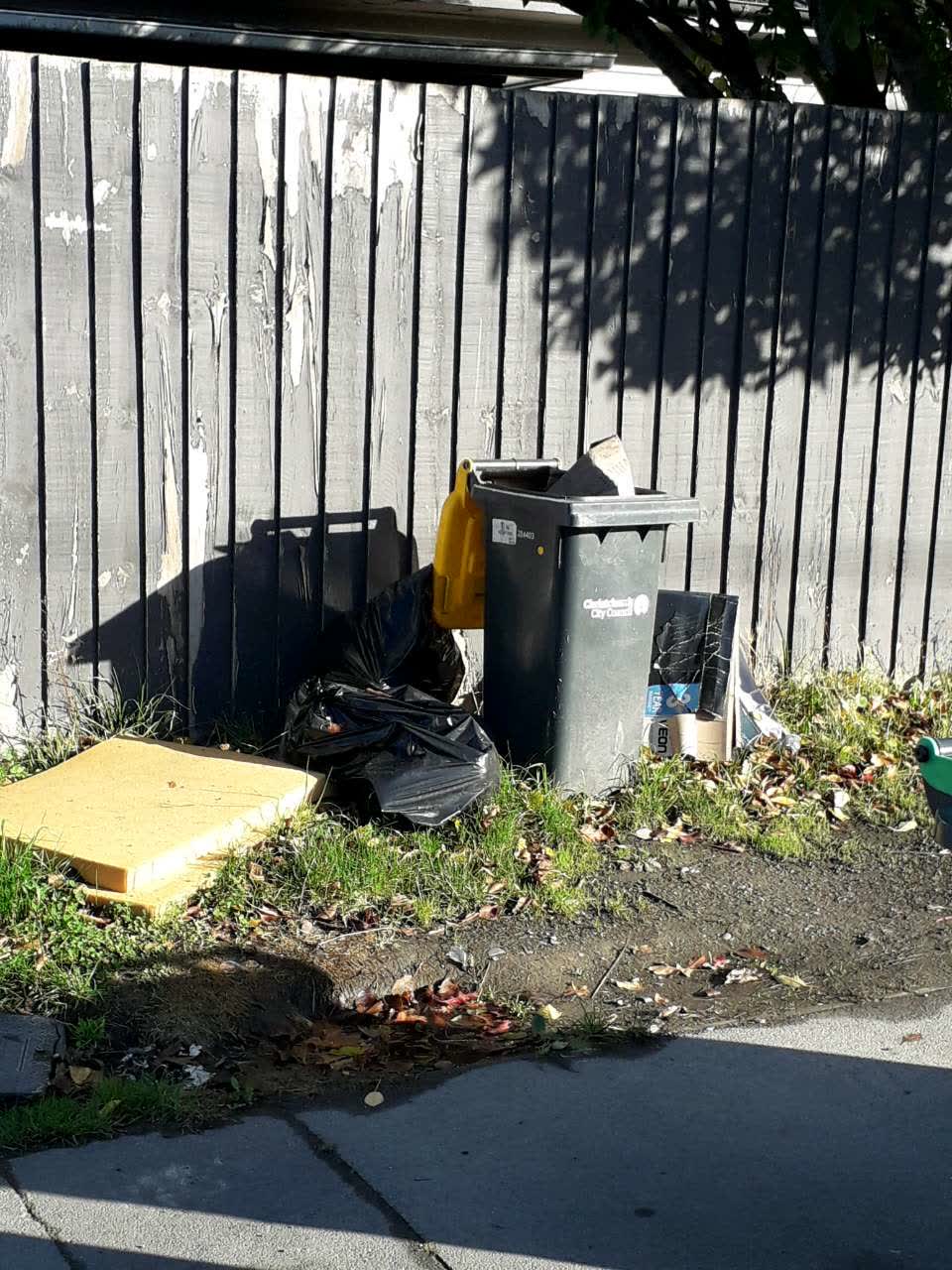 The photograph attached to this rubbish/recycling report