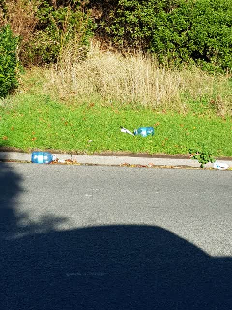 Rubbish/Recycling, a report photo