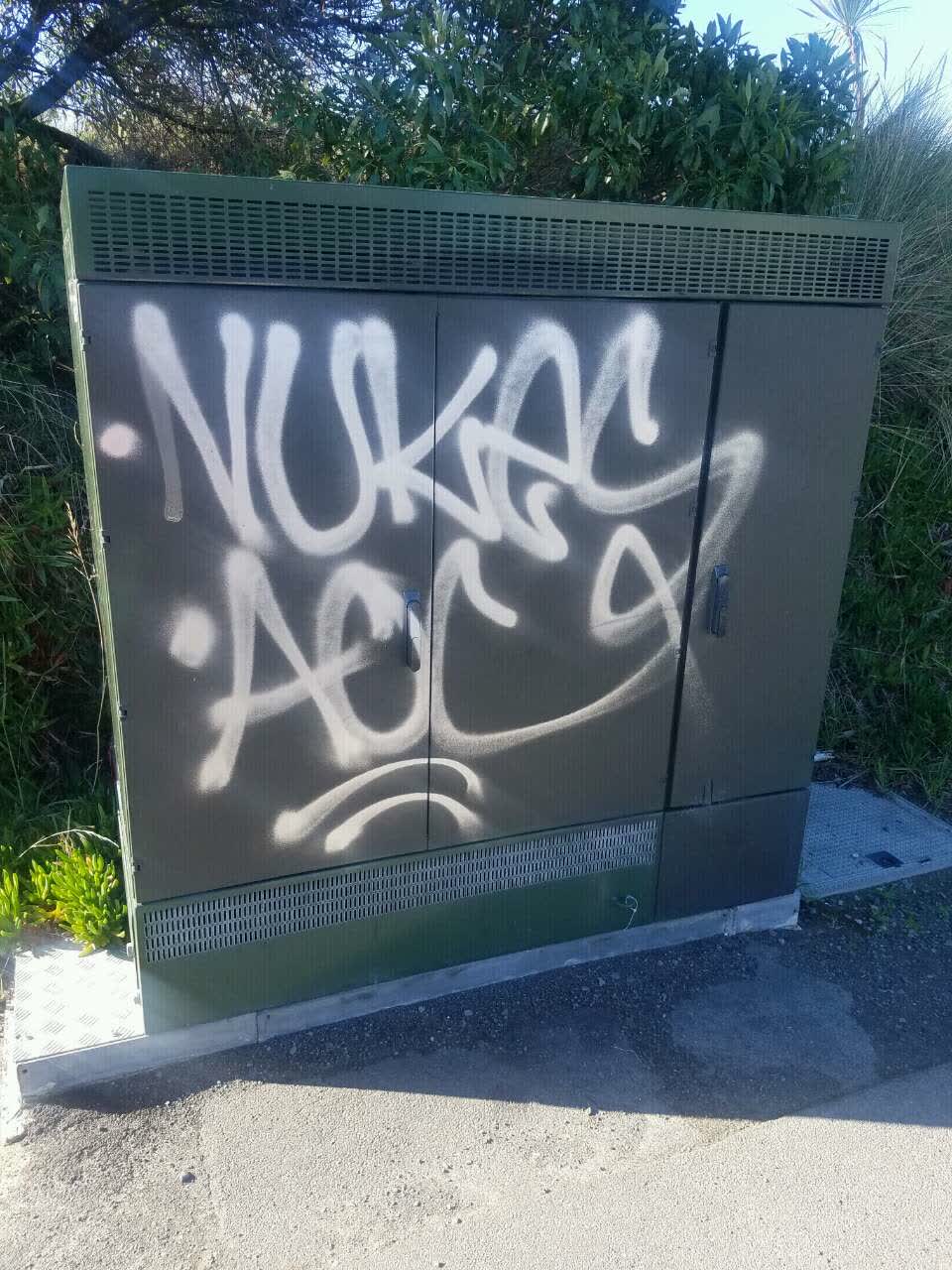 The photograph attached to this graffiti report