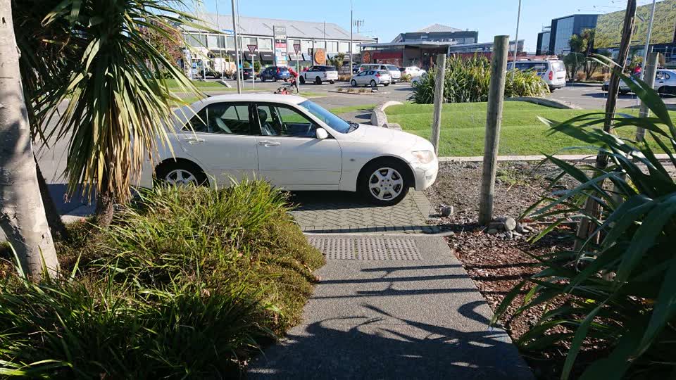 The photograph attached to this parks report