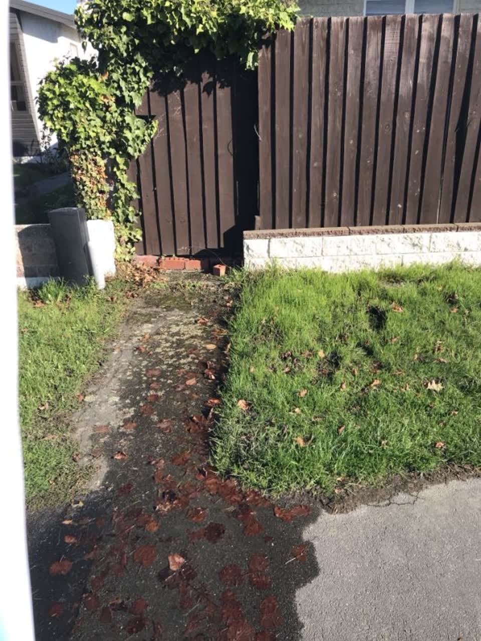 The photograph attached to this water supply report