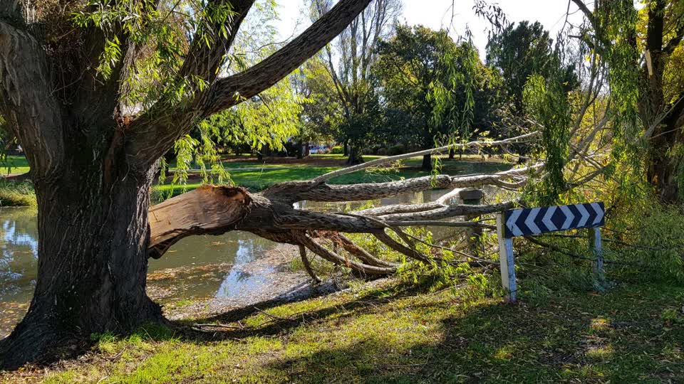 The photograph attached to this parks report