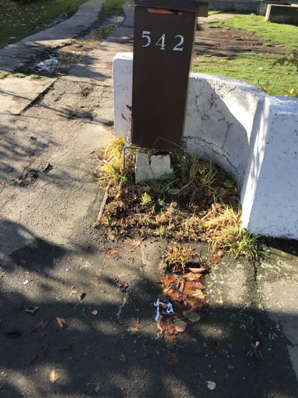The photograph attached to this water supply report