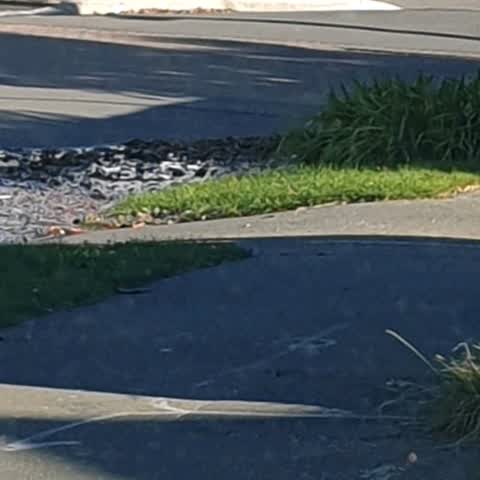 Flooding, a report photo