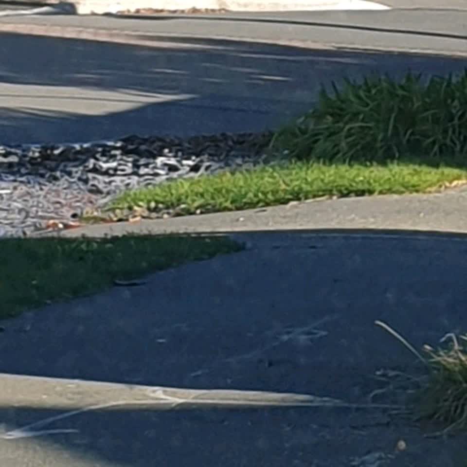 The photograph attached to this flooding report