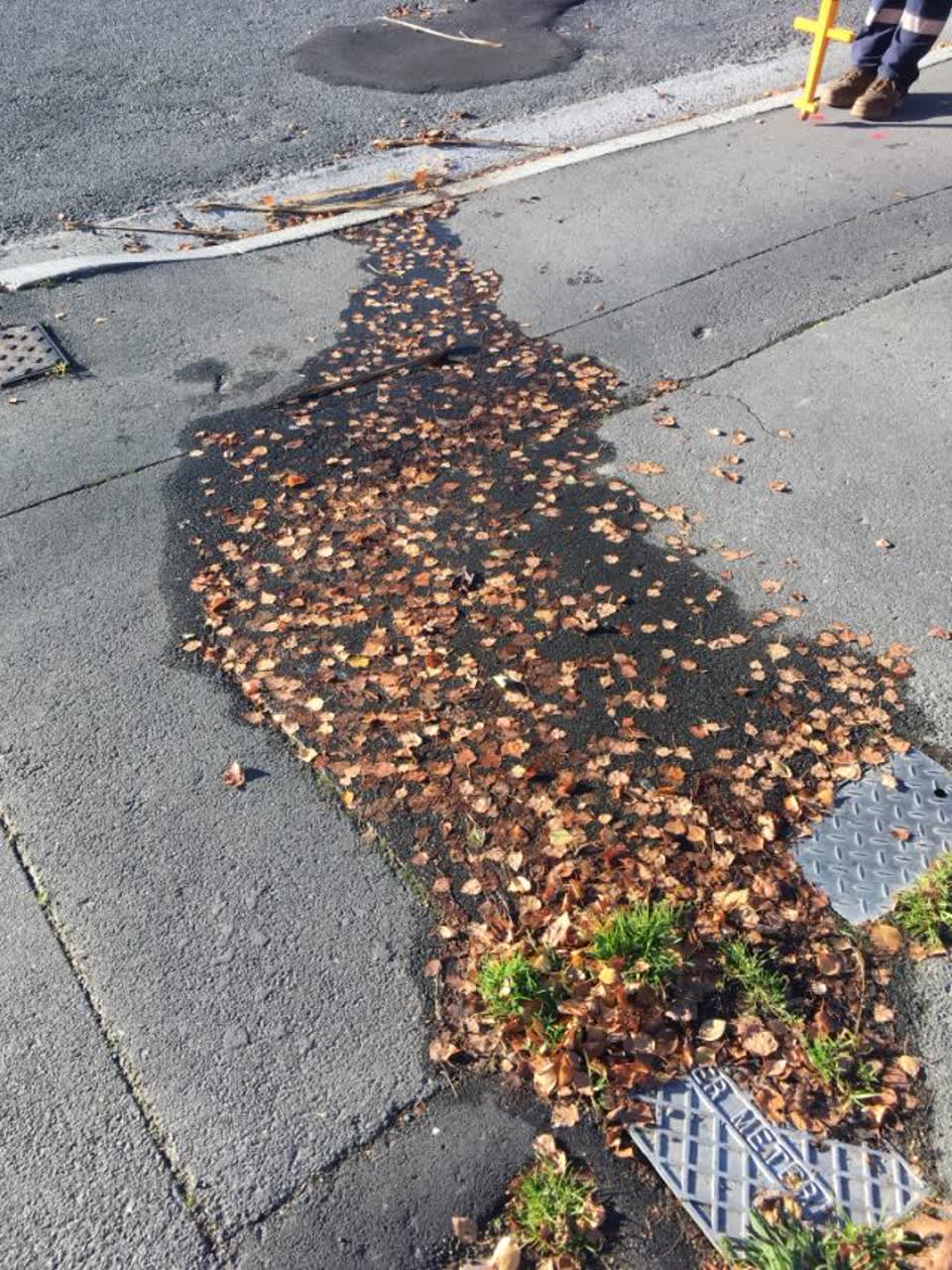 The photograph attached to this roading/streets report