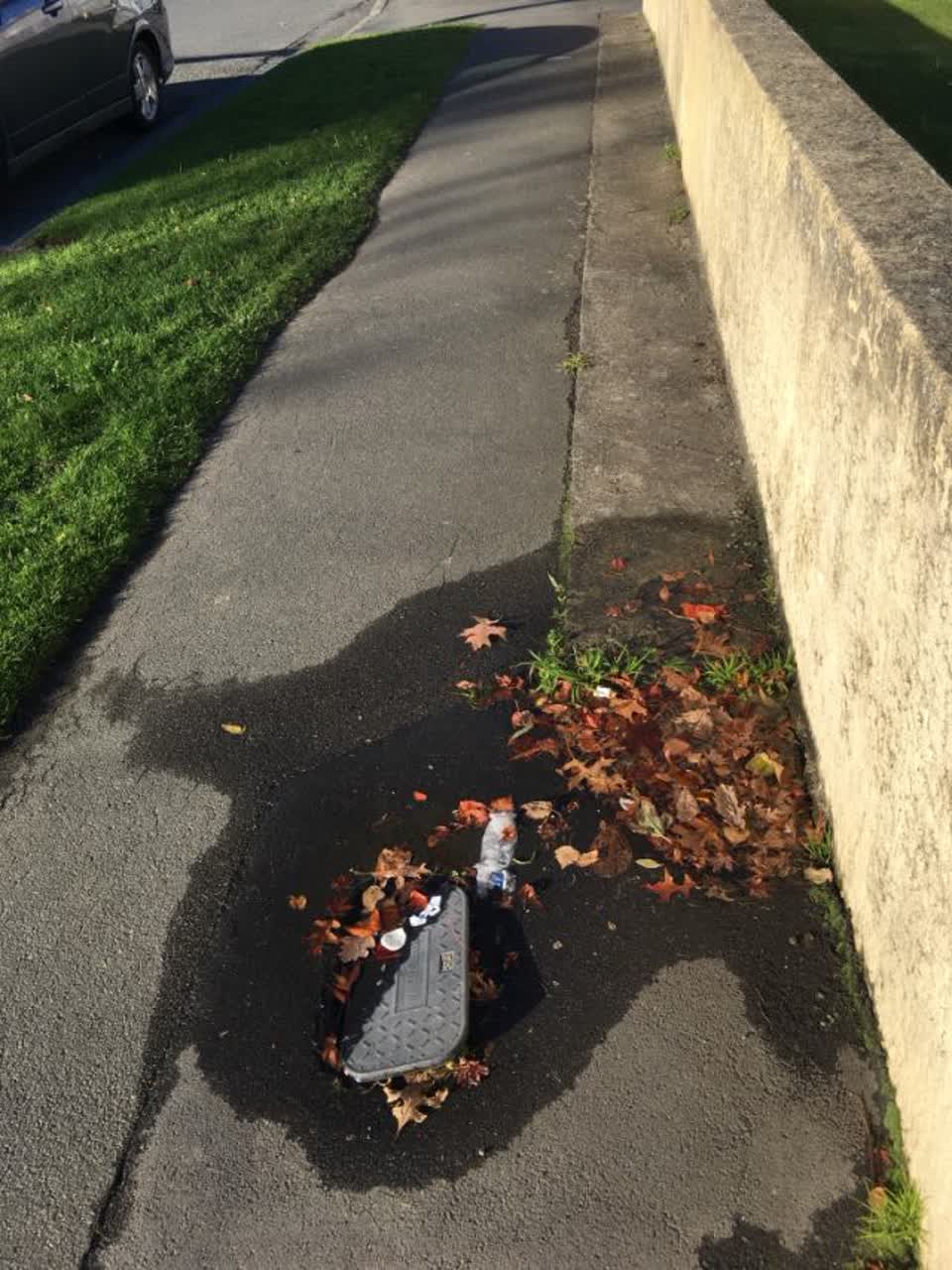 The photograph attached to this roading/streets report