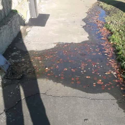 Water Supply, a report photo