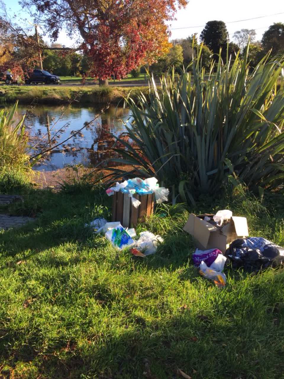The photograph attached to this rubbish/recycling report