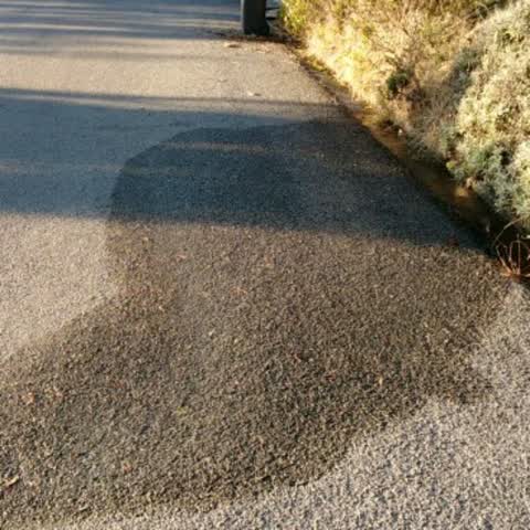 Water Supply — a report photo