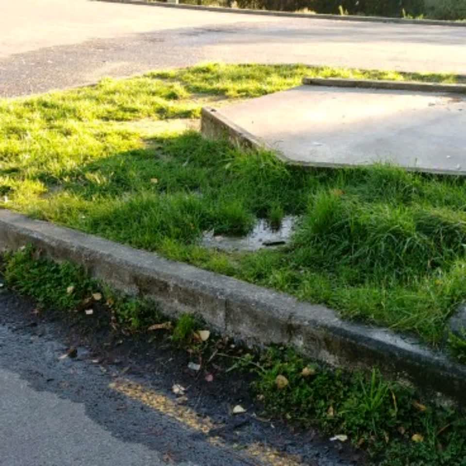 The photograph attached to this water supply report