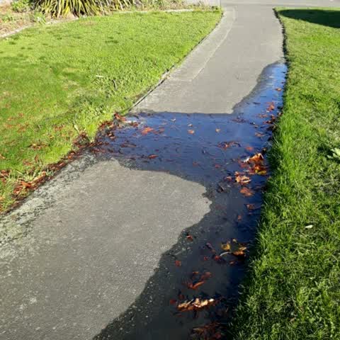 Water Supply, a report photo