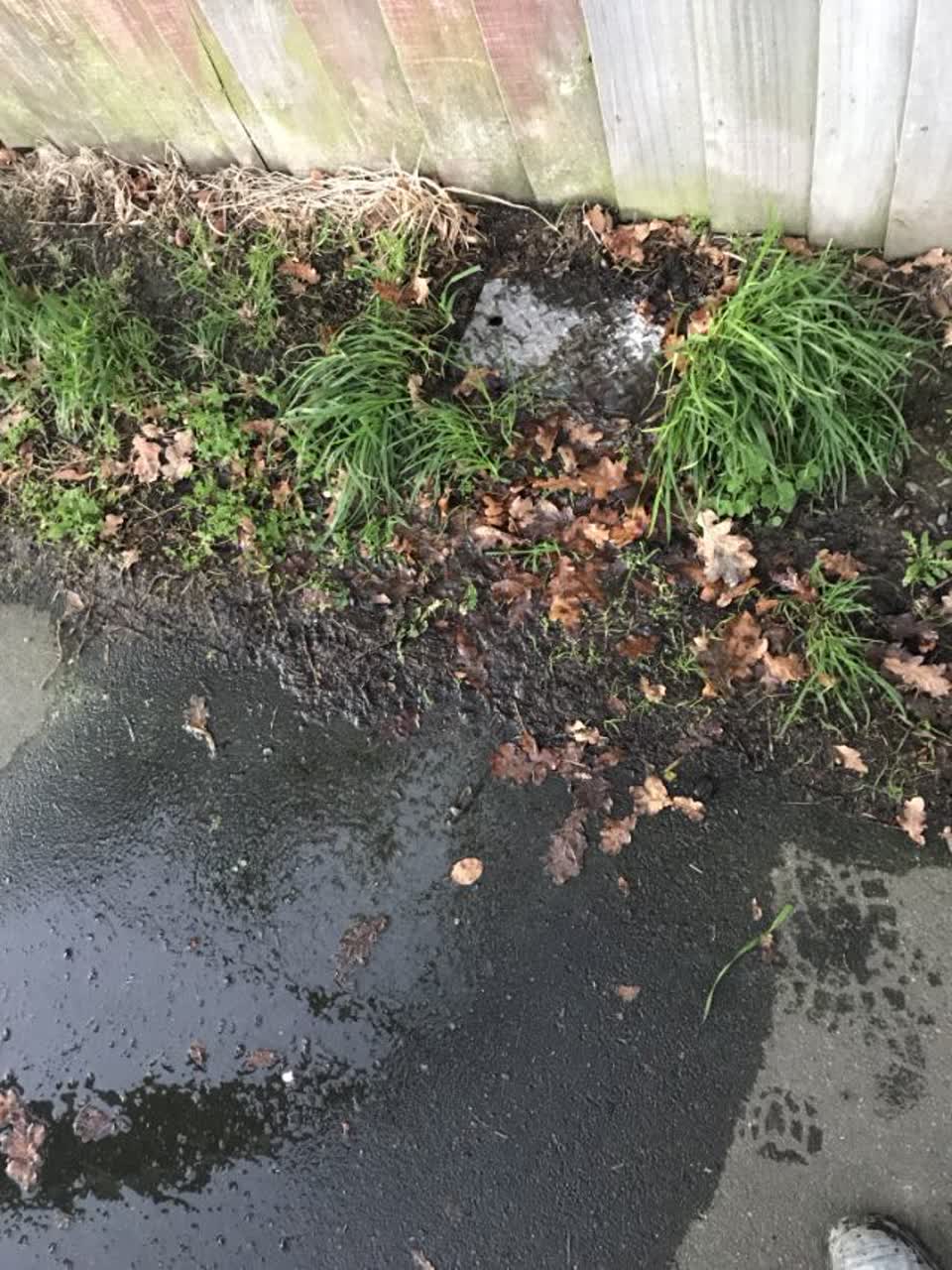 The photograph attached to this water supply report