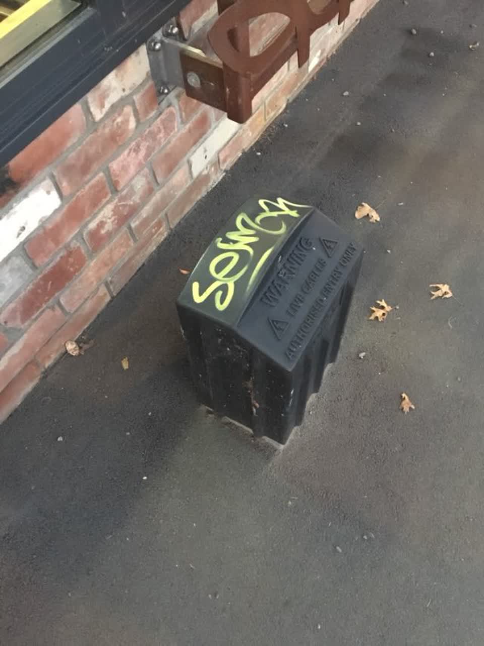 The photograph attached to this graffiti report