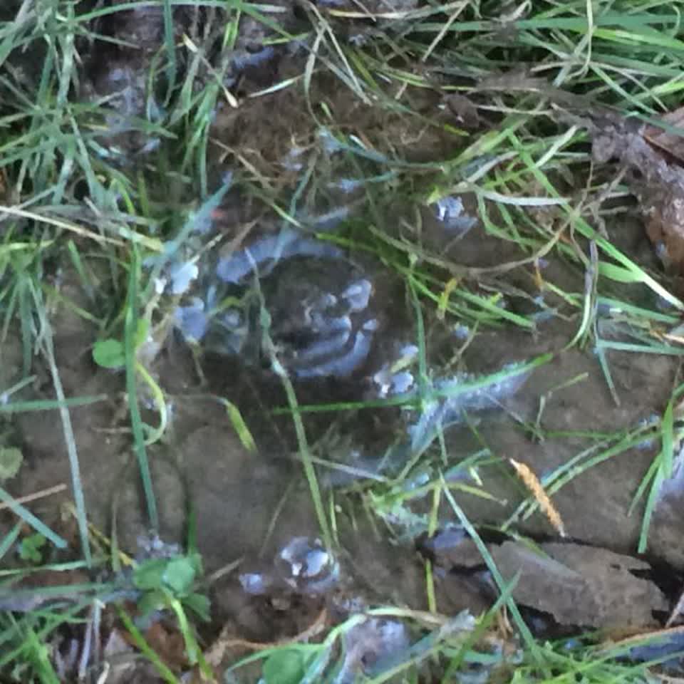 The photograph attached to this water supply report