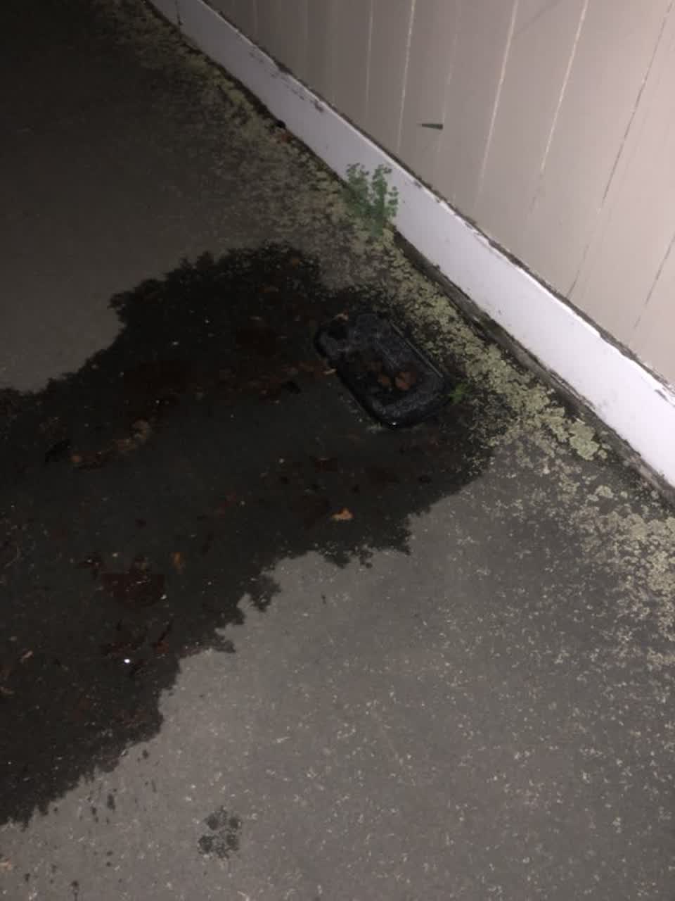 The photograph attached to this water supply report