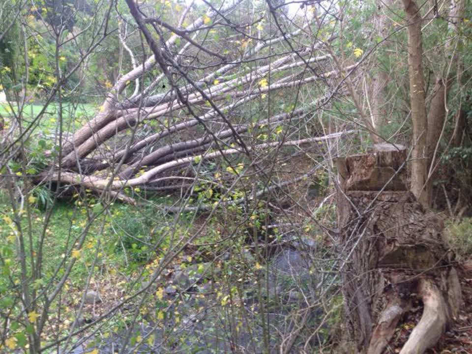 The photograph attached to this flooding report