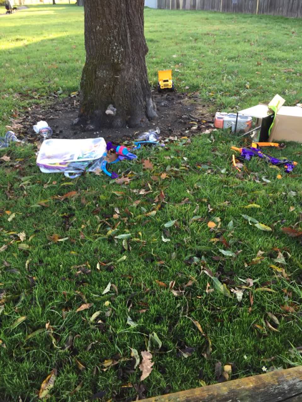 The photograph attached to this rubbish/recycling report