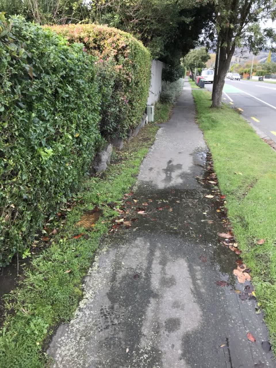 The photograph attached to this water supply report
