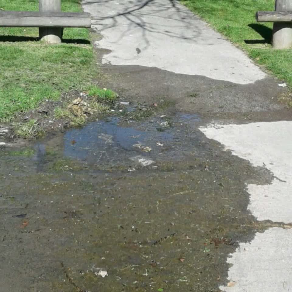 The photograph attached to this flooding report