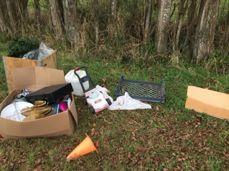 The photograph attached to this rubbish/recycling report