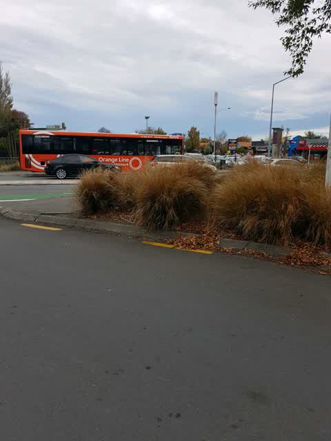 Roading/Streets, a report photo
