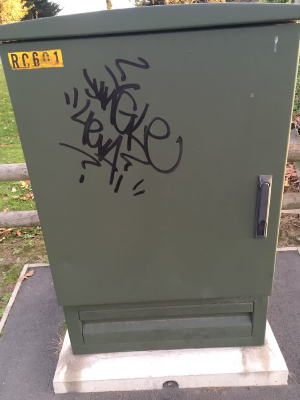 The photograph attached to this graffiti report