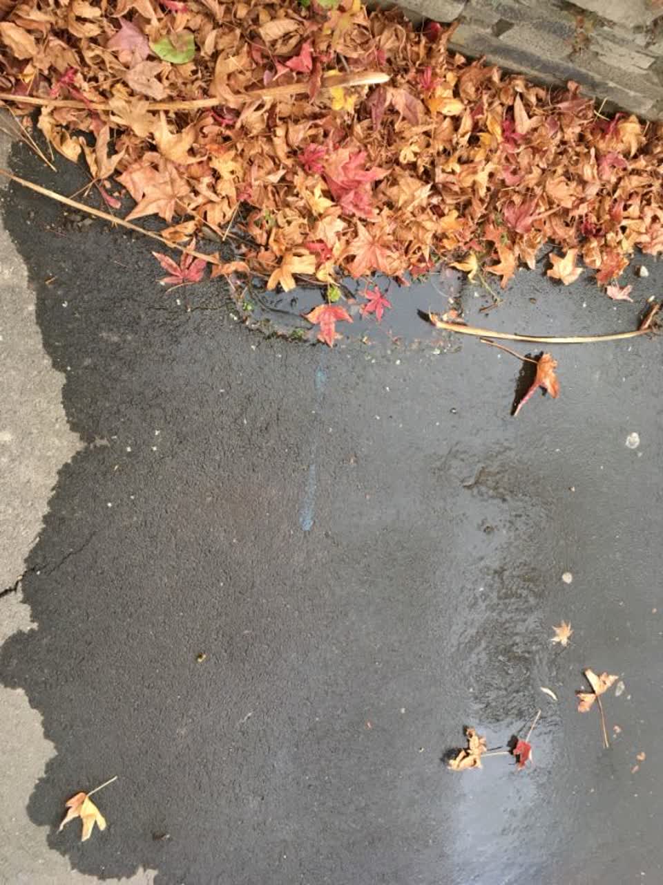 The photograph attached to this water supply report