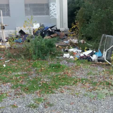 Rubbish/Recycling, a report photo