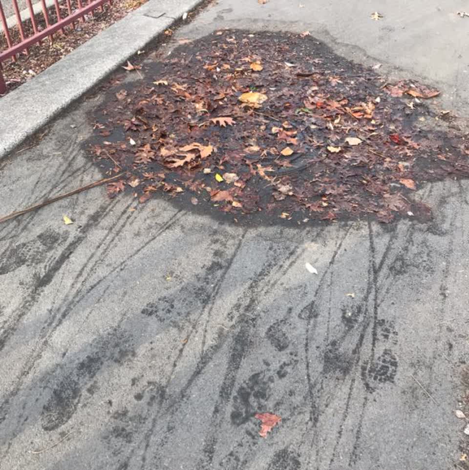 The photograph attached to this roading/streets report
