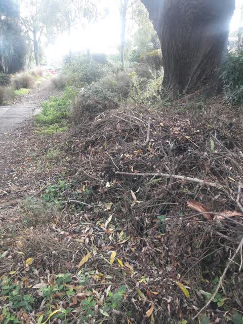 Rubbish/Recycling, a report photo