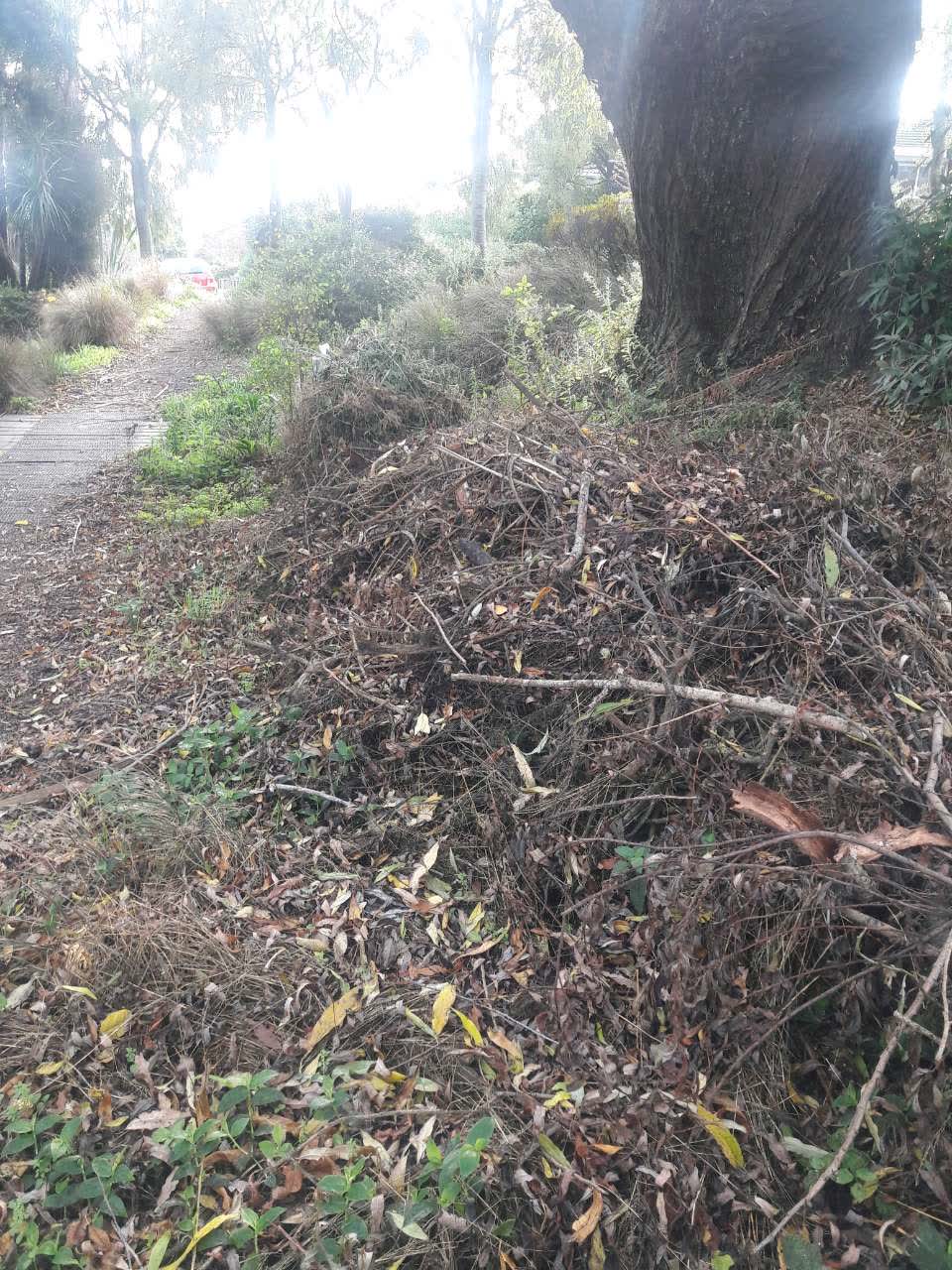 The photograph attached to this rubbish/recycling report
