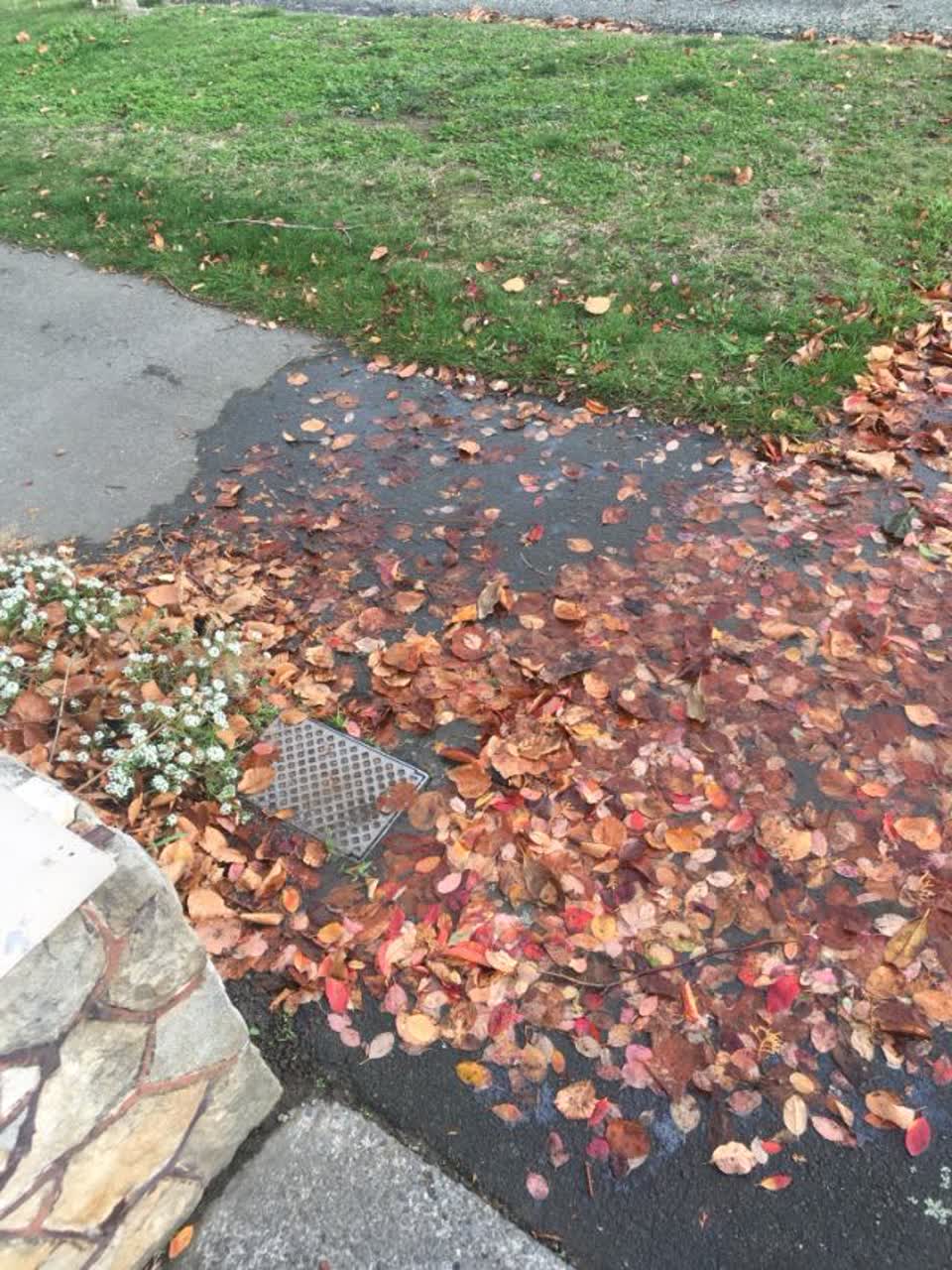 The photograph attached to this flooding report