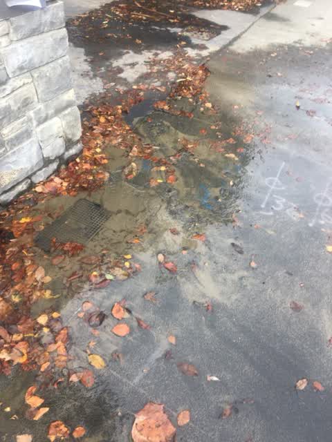 Flooding, a report photo