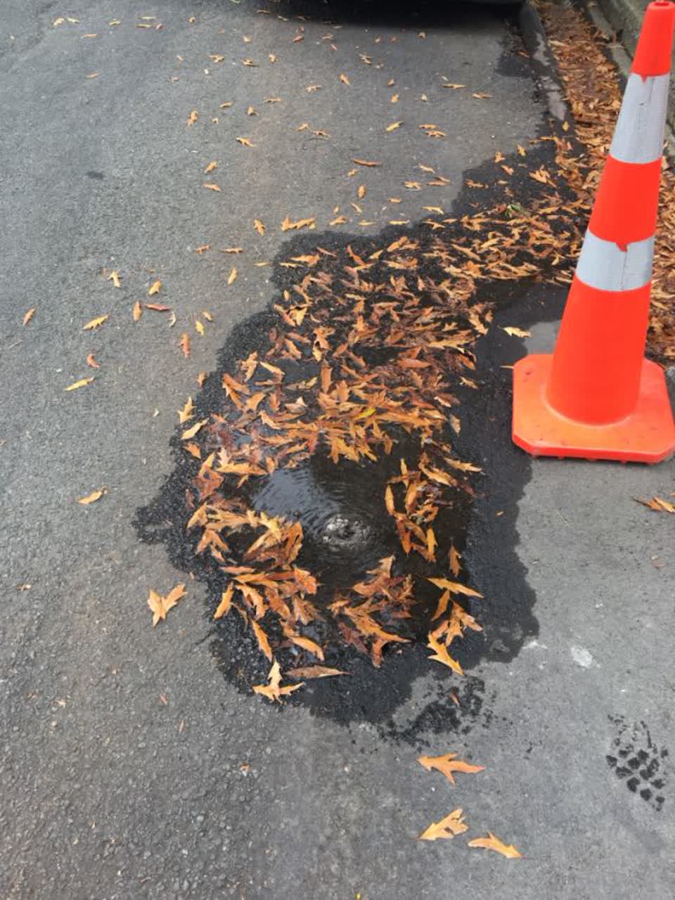 The photograph attached to this water supply report