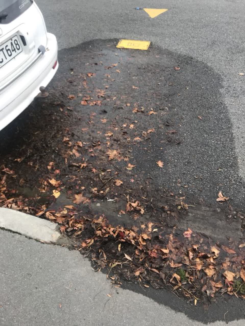 The photograph attached to this water supply report