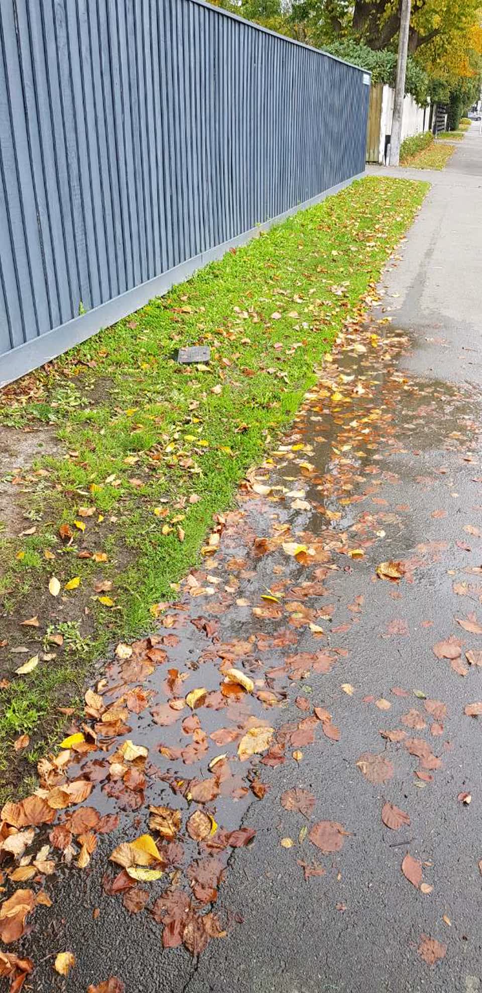 The photograph attached to this water supply report