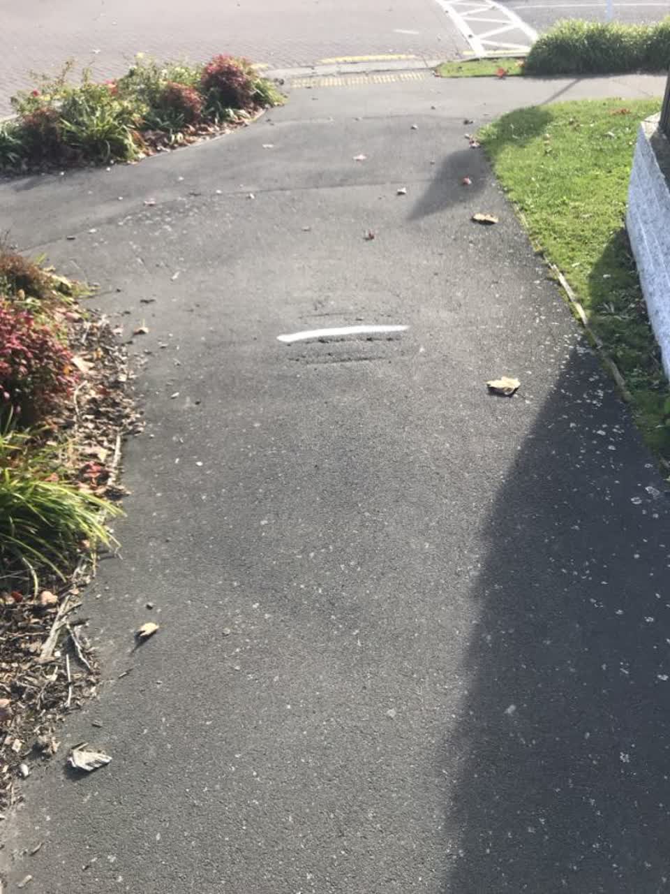 The photograph attached to this roading/streets report