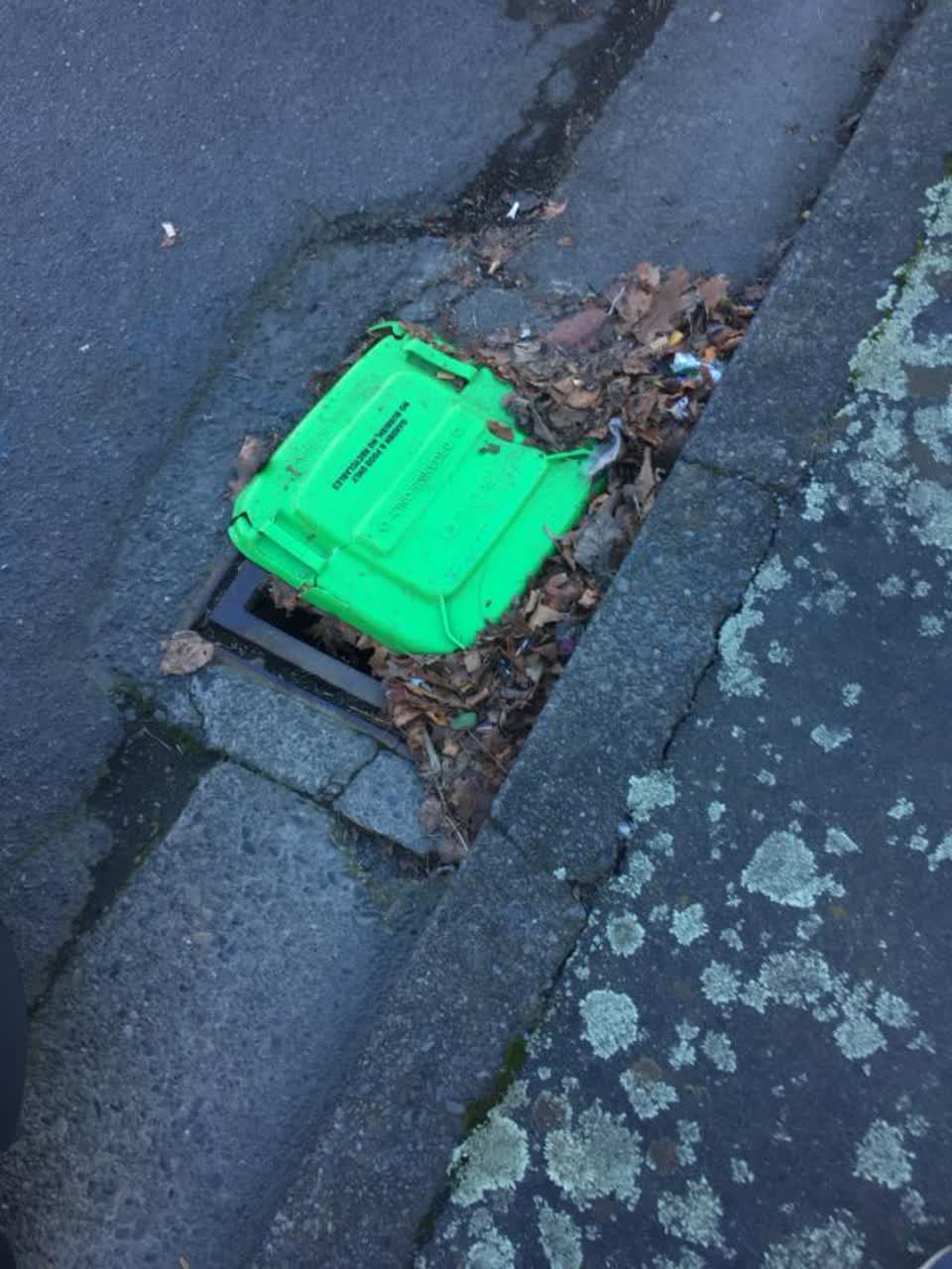 The photograph attached to this rubbish/recycling report