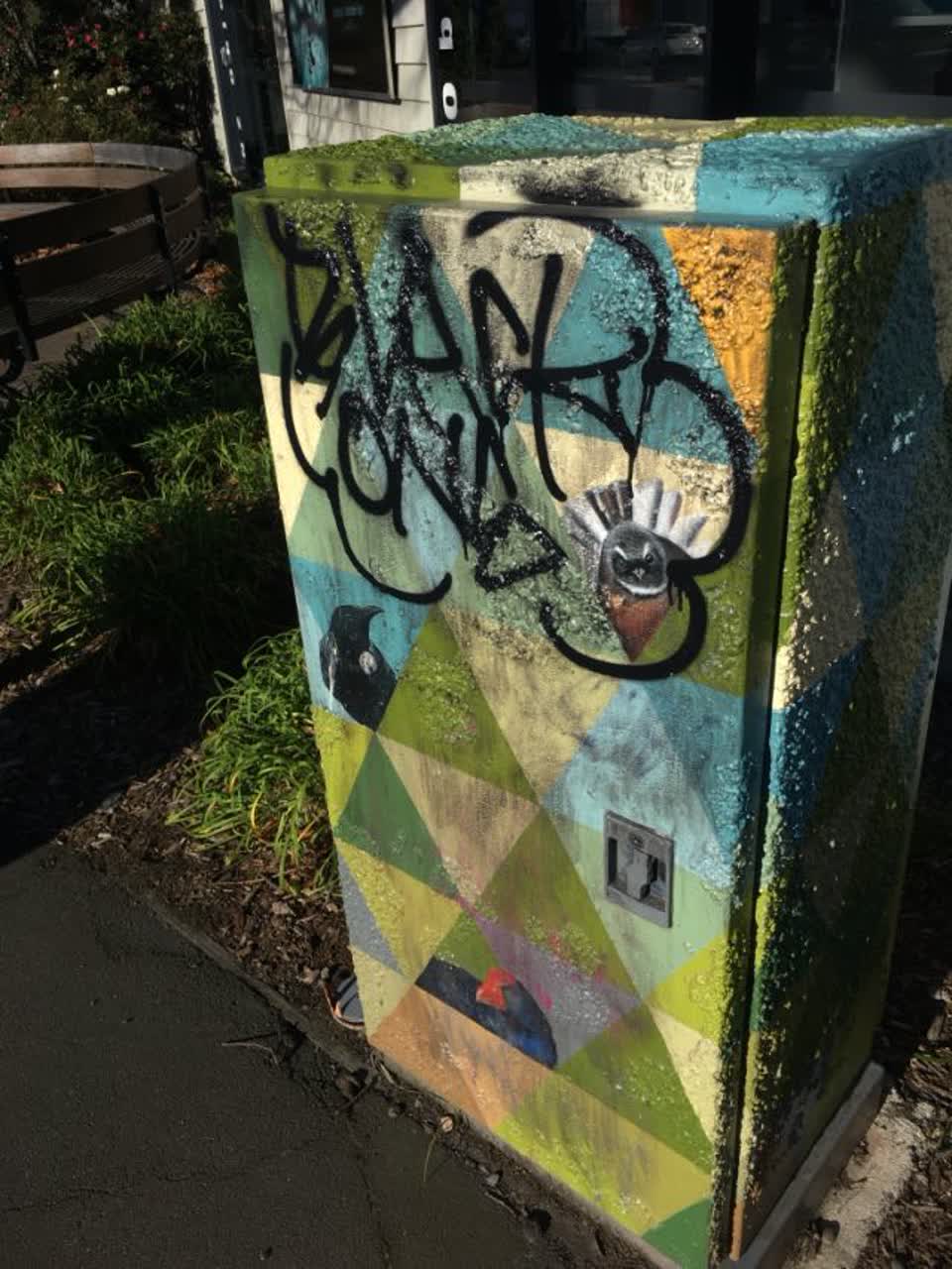 The photograph attached to this graffiti report