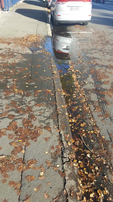 Roading/Streets, a report photo