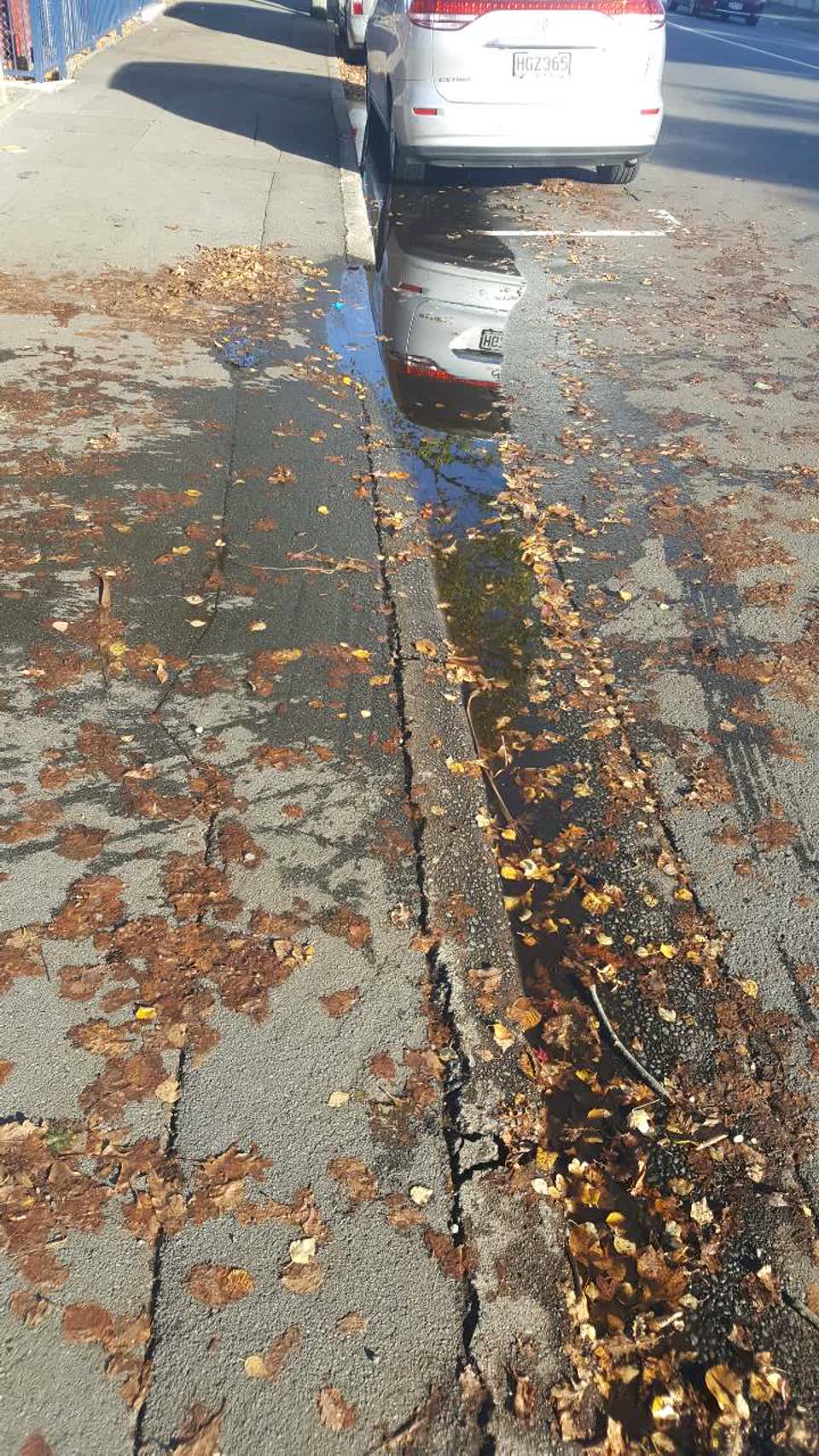 The photograph attached to this roading/streets report