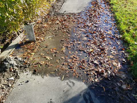 Water Supply, a report photo