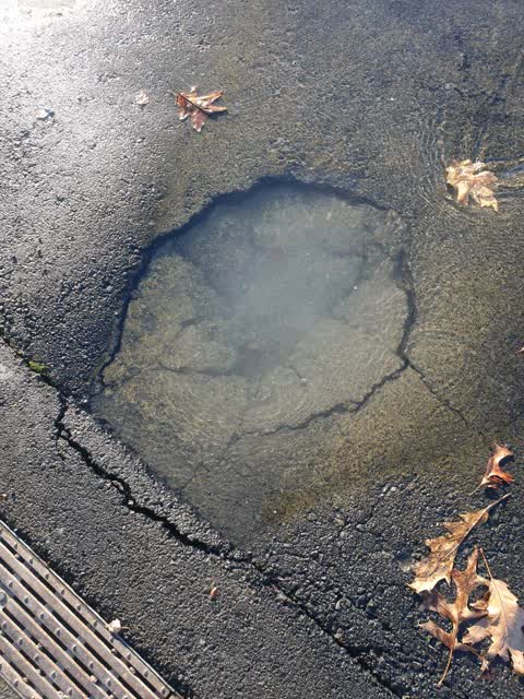 Flooding, a report photo